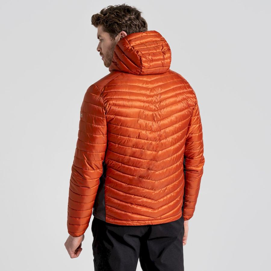 Vestes Craghoppers ExpoLite Insulated Encapuchonné Homme Orange | YUN6444ZQ