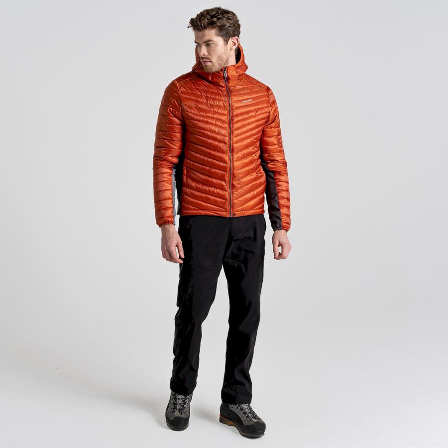 Vestes Craghoppers ExpoLite Insulated Encapuchonné Homme Orange | YUN6444ZQ