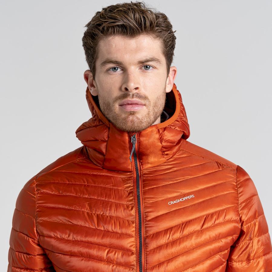 Vestes Craghoppers ExpoLite Insulated Encapuchonné Homme Orange | YUN6444ZQ