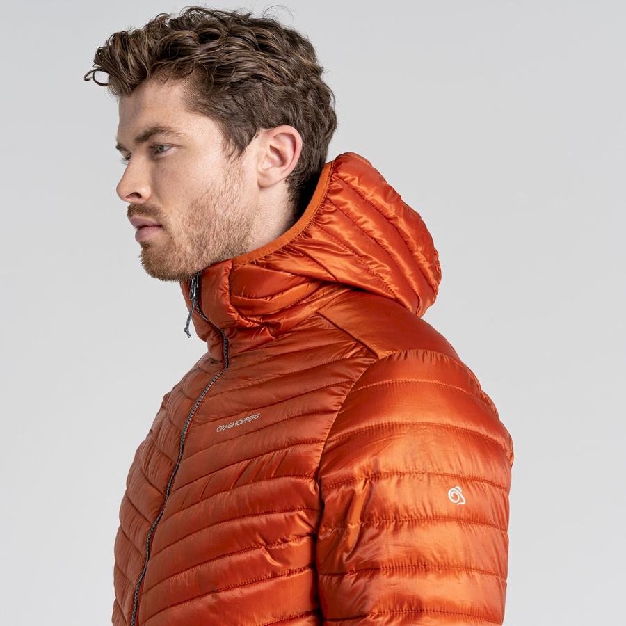 Vestes Craghoppers ExpoLite Insulated Encapuchonné Homme Orange | YUN6444ZQ