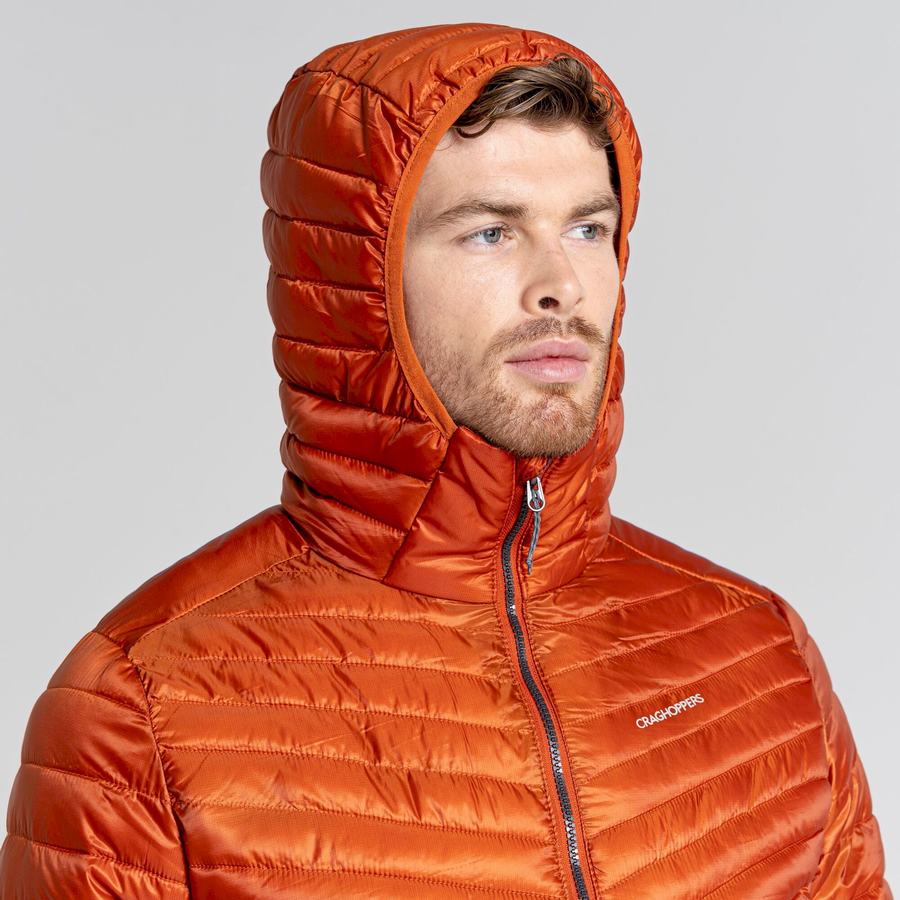 Vestes Craghoppers ExpoLite Insulated Encapuchonné Homme Orange | YUN6444ZQ