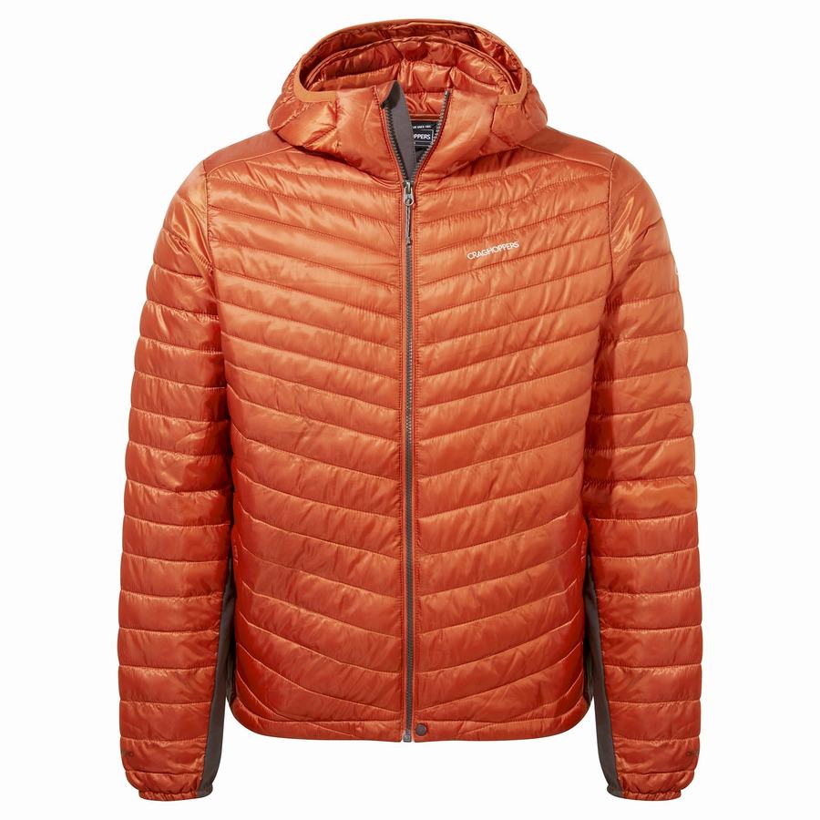 Vestes Craghoppers ExpoLite Insulated Encapuchonné Homme Orange | YUN6444ZQ