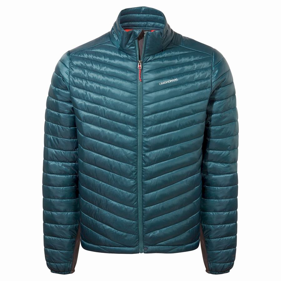 Vestes Craghoppers ExpoLite Insulated Homme Bleu Foncé | DSZ972TQ