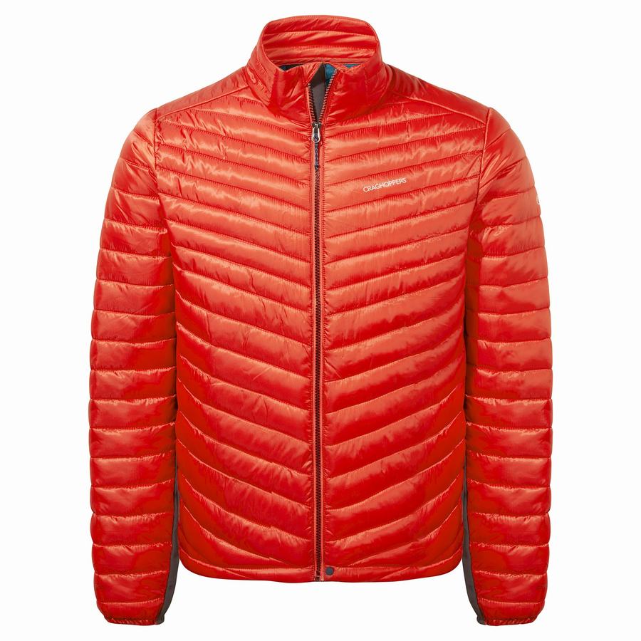 Vestes Craghoppers ExpoLite Insulated Homme Rouge | WZW7233IC