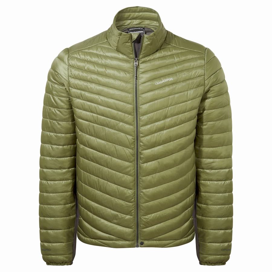 Vestes Craghoppers ExpoLite Insulated Homme Vert Olive Vert | YXB729IX