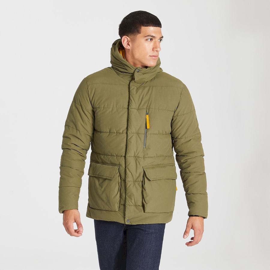 Vestes Craghoppers Insulated Cromarty Homme Vert | CDZ5026GV