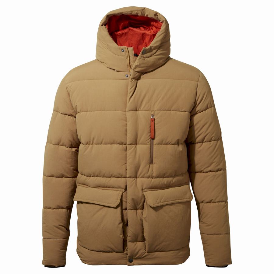 Vestes Craghoppers Insulated Cromarty Homme Kaki Foncé | MSN2957ER