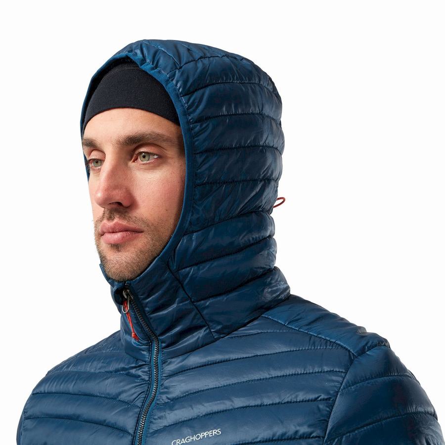 Vestes Craghoppers Insulated ExpoLite Encapuchonné Homme Bleu Marine Bleu | NBW392VA