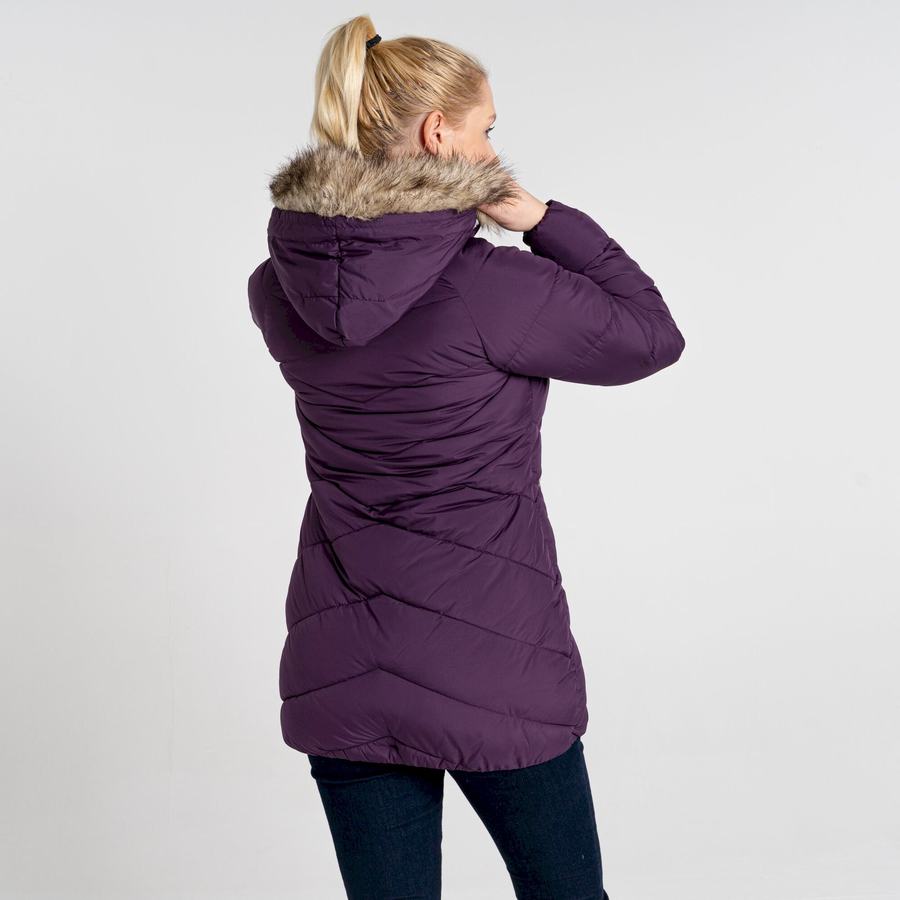 Vestes Craghoppers Lisby Downlike Femme Violette | MLQ718NH