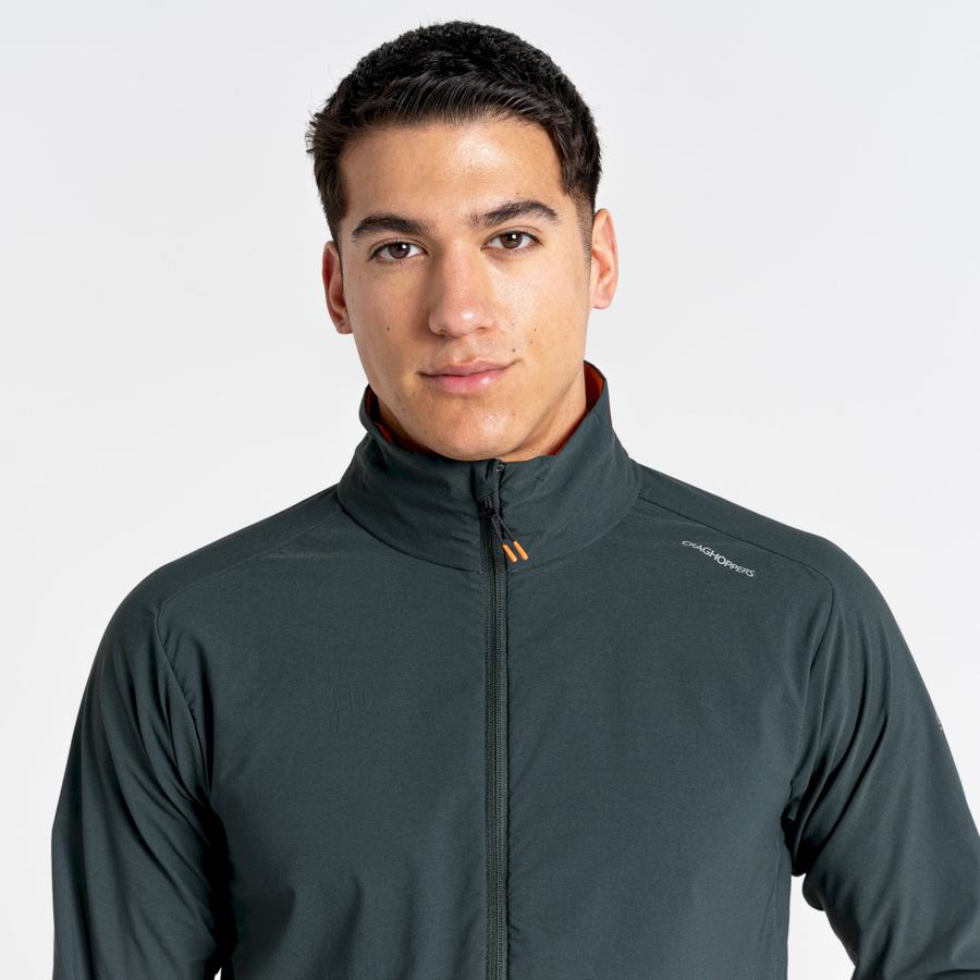 Vestes Craghoppers NosiLife Active Homme Vert | BDS526RZ