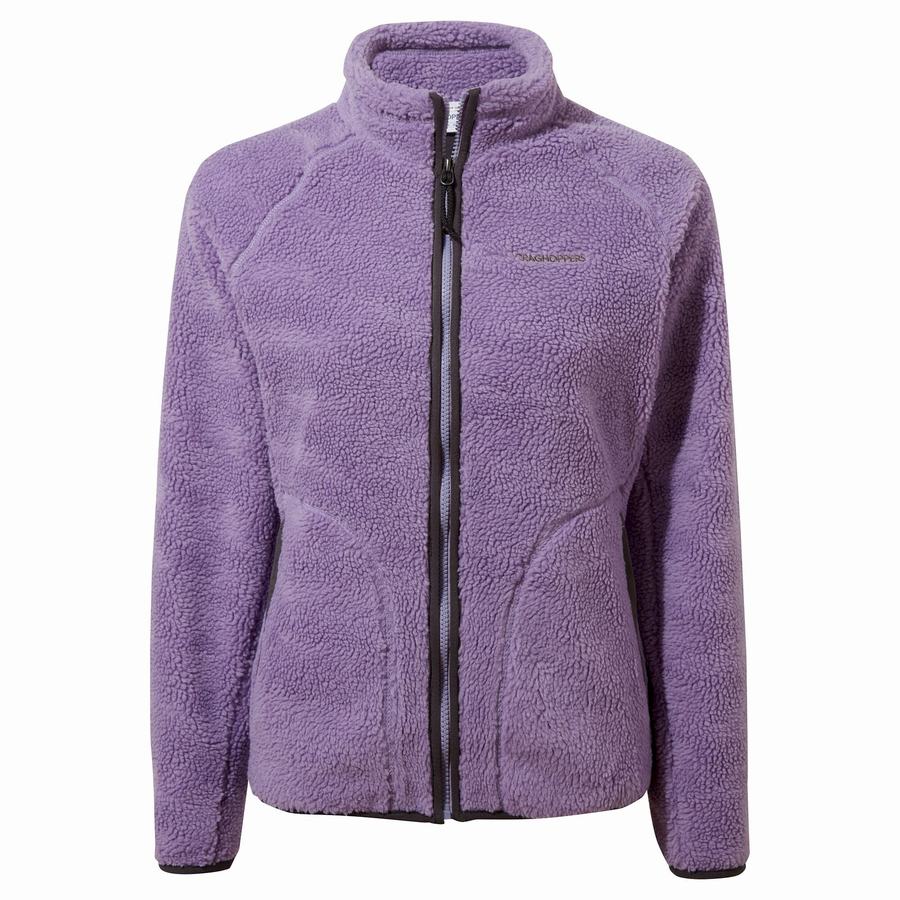 Vestes Craghoppers Salara Femme Violette | GVF6431NQ