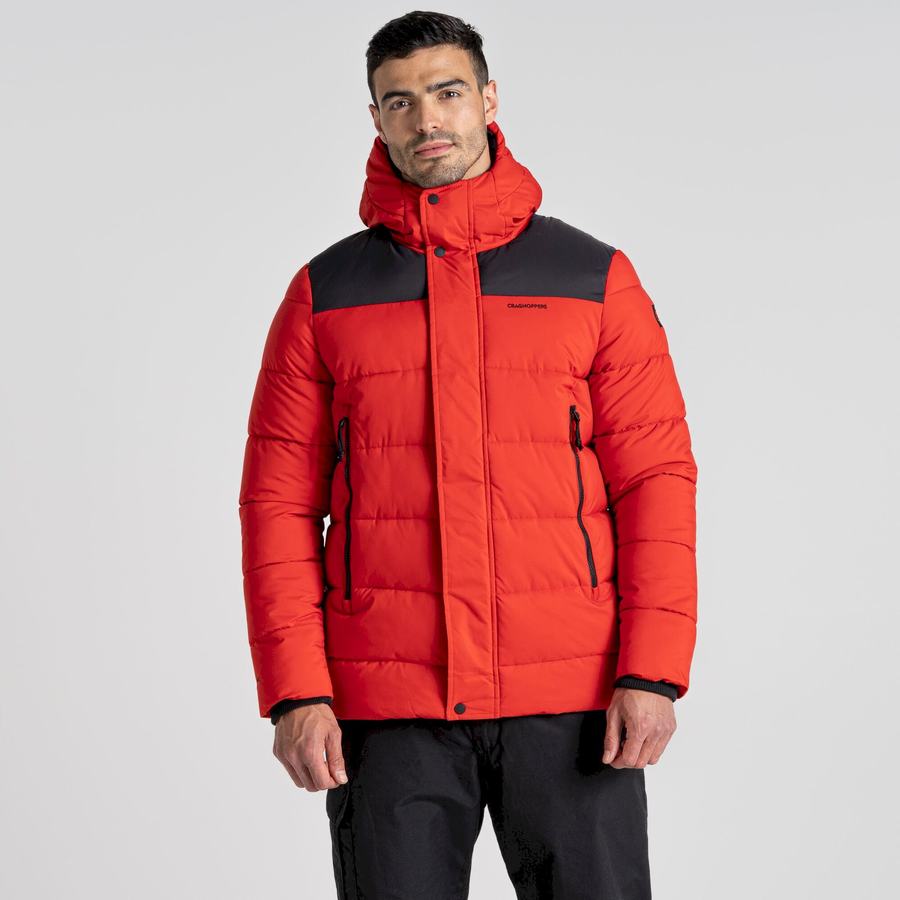 Vestes Craghoppers Sutherland Insulated Encapuchonné Homme Rouge Noir | WJZ5812BR