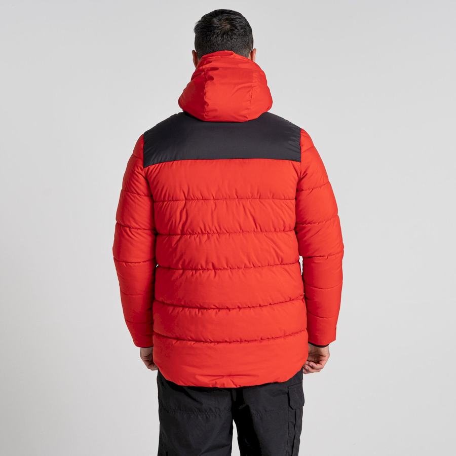 Vestes Craghoppers Sutherland Insulated Encapuchonné Homme Rouge Noir | WJZ5812BR