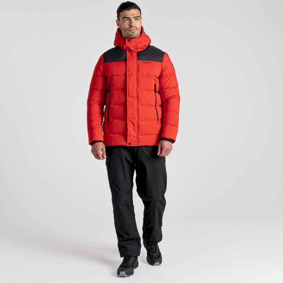 Vestes Craghoppers Sutherland Insulated Encapuchonné Homme Rouge Noir | WJZ5812BR