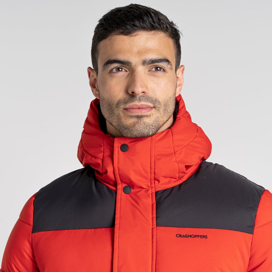 Vestes Craghoppers Sutherland Insulated Encapuchonné Homme Rouge Noir | WJZ5812BR