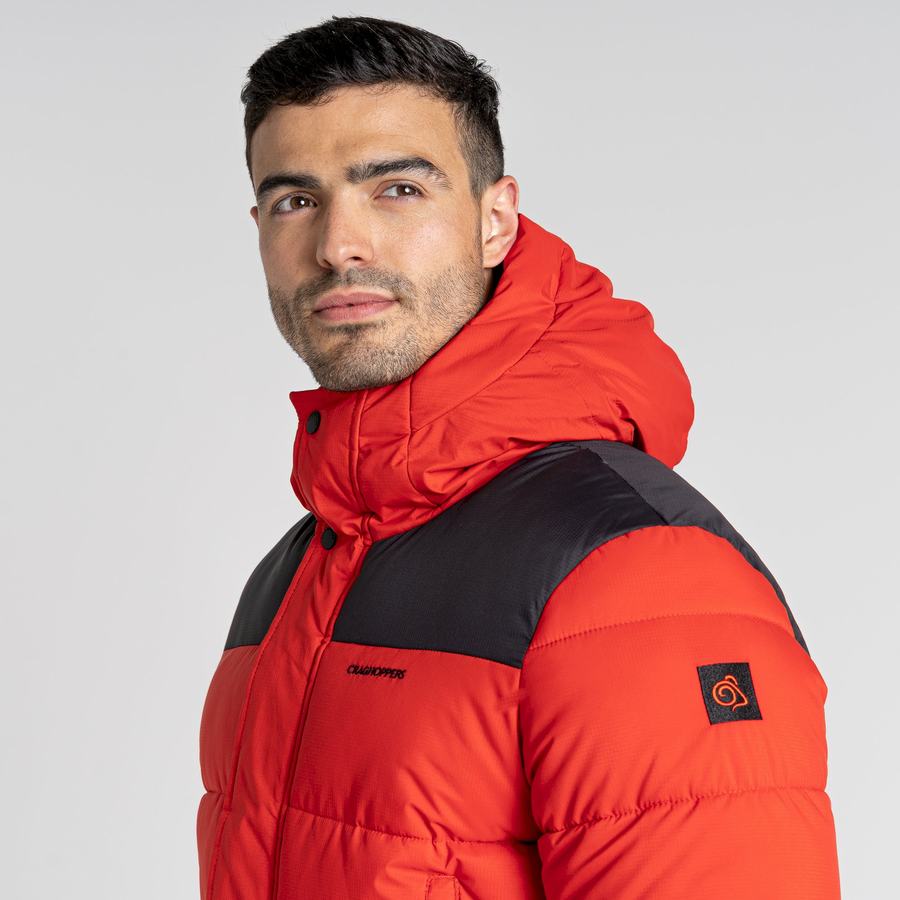 Vestes Craghoppers Sutherland Insulated Encapuchonné Homme Rouge Noir | WJZ5812BR