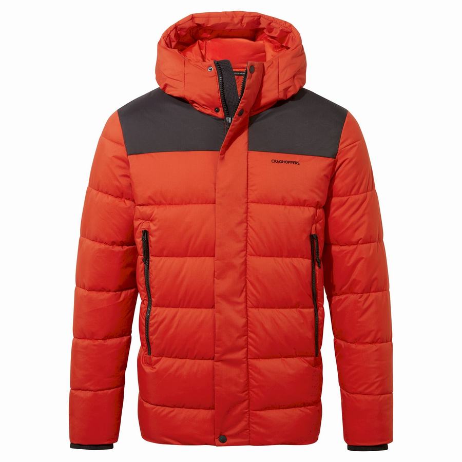 Vestes Craghoppers Sutherland Insulated Encapuchonné Homme Rouge Noir | WJZ5812BR